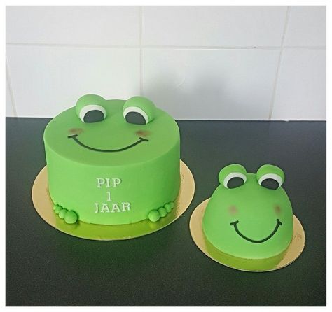 Cake Frog Birthday, Frog Smash Cake, Frog Cake Designs, Frog Cake Birthday, Frog Photoshoot, Frog Birthday Cake Ideas, Frog Cake Ideas, Frog Birthday Cake, Smash Cake Ideas