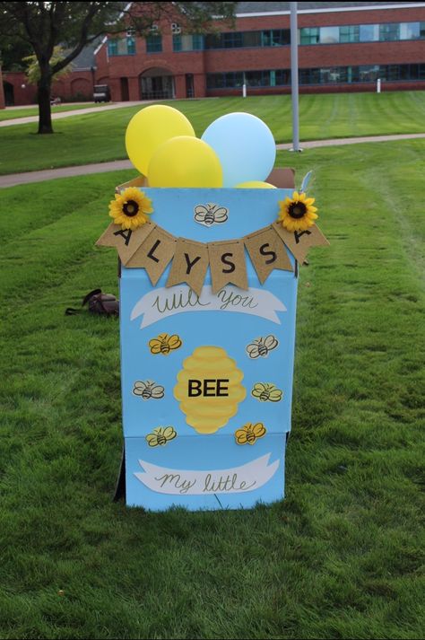 Sorority Sister Reveal Boxes, Big Lil Reveal Boxes, Big Sis Box Reveal, Cheer Sister Reveal Ideas, Sorority Reveal Boxes, Big Sis Lil Sis Reveal Ideas, Big Sis Little Sis Reveal Ideas, Big Sis Lil Sis Gifts, Sorority Letters Painted