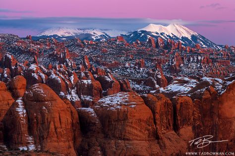 This Utah desert photo depicts the Belt of Venus over the La Sal Mountains with rock fin formations in the foreground. Moab, Utah Colorado Aesthetic, Southwest Photography, Southwest Colorado, Waterfall Pictures, Colorado Plateau, Desert Southwest, Photography School, Desert Travel, Moab Utah