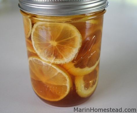 Ginger Lemon Honey Tea, Canker Sore Remedy, Honey Remedies, Honey Lemon Water, Ginger Detox, Tea For Colds, Honey Drink, Ginger Drink, Sick Remedies