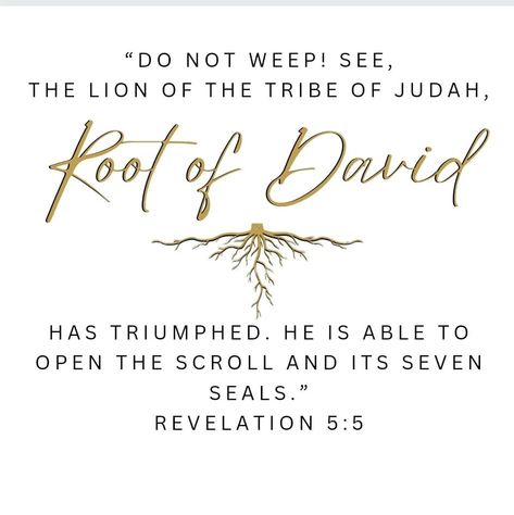 Revelation 5:5 Lion Of Judah, Seven Seals, Positive Daily Quotes, The Tribe Of Judah, Revelation 5, Hebrew Lessons, Habit Quotes, The Seventh Seal, Spiritual Warrior