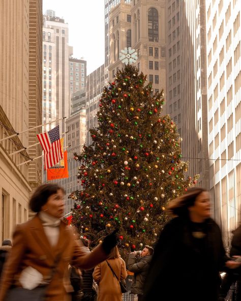 Weeks Until Christmas, New York City Christmas, Christmas In Nyc, Tis The Damn Season, Christmas In New York, Christmas Dreaming, Best Christmas Markets, Nyc Christmas, Christmas In The City