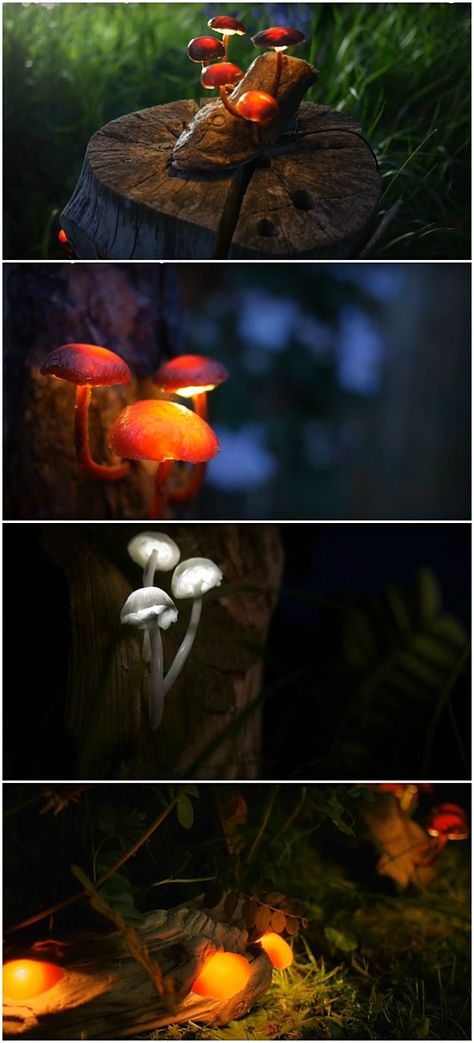 More Mushrooms DIY Garden Lighting Design Ideas | DIY Garden Lighting | How To Make Amazing Glowing Mushrooms Glowing Mushrooms Diy, Diy Garden Lights, Garden House Ideas, Diy Mushrooms, Mushroom Ideas, Mushrooms Diy, Mushroom Diy, Garden Lighting Diy, Garden Diy Projects