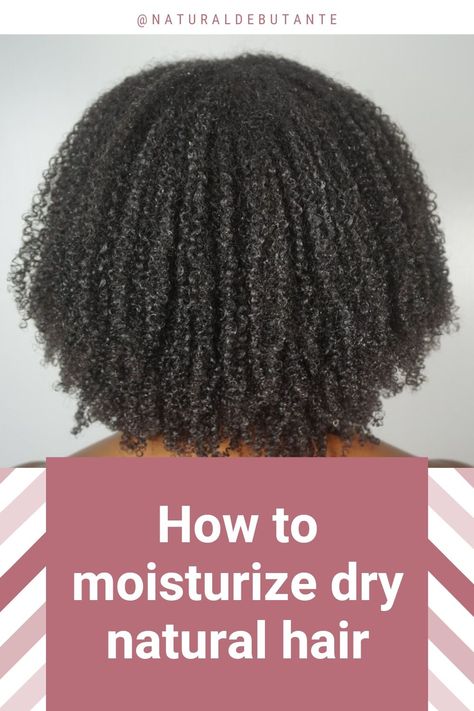 How To Keep Natural Hair Moisturized, How To Add Moisture To Dry Hair, Best Hair Moisturizer For Dry Hair, Dry Natural Hairstyles, How To Moisturize Dry Hair, How To Moisturize Natural Hair, How To Hydrate Hair, Hair Moisturizer For Dry Hair, Damaged Black Hair