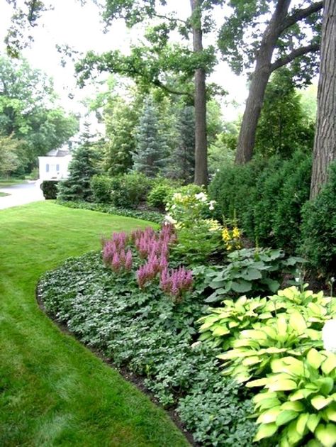 Creative Landscape Ideas with Big Impact Colorful Landscaping, Conifers Garden, Tropical Backyard, Creative Landscape, Background Simple, Easy Landscaping, Low Maintenance Landscaping, Garden Shrubs, Low Maintenance Garden