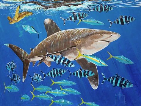 Guy Harvey Guy Harvey Art, Octopus Painting, Shark Pictures, Marine Artist, Fish Artwork, Shark Art, Jurassic World Dinosaurs, Shark Fishing, Guy Harvey