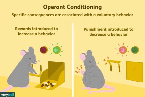 Operant conditioning is one of the fundamental concepts in behavioral psychology. Learn more about the effects of rewards and punishments on behavior. Social Cognitive Theory, Intro To Psychology, Learning Theories, Operant Conditioning, Behavioral Psychology, Infant Lesson Plans, Psychology Notes, Daycare Forms, Behavior Rewards