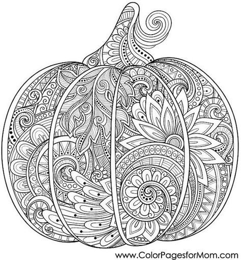 Halloween Pumpkin Coloring Pages, Pumpkin Coloring, Pumpkin Coloring Pages, Thanksgiving Coloring Pages, Adult Colouring Pages, White Drawing, Fall Coloring Pages, Halloween Coloring Pages, Black And White Drawing