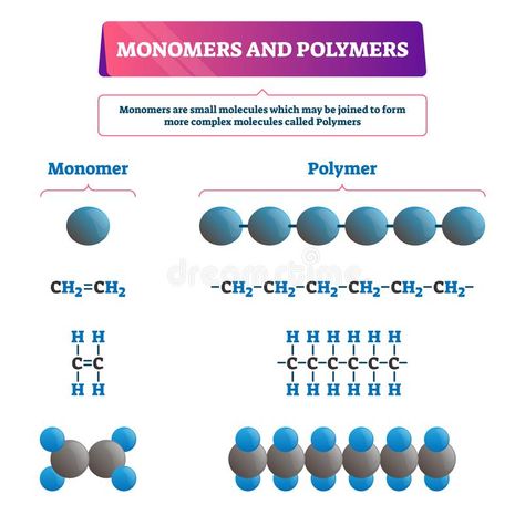 Polymer Chemistry, Organic Synthesis, Teaching Chemistry, Chemistry Lessons, Organic Chemistry, Text Fonts, Microbiology, Of Model, Atom