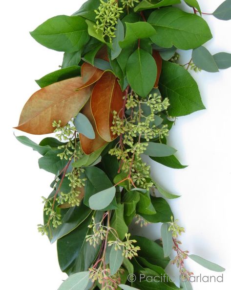 Magnolia Leaves Centerpiece, Spanish Moss Wedding, Eucalyptus Wreaths, Different Greens, Magnolia Decor, Magnolia Garland, Moss Wedding, Thanksgiving Garland, Fresh Garlands