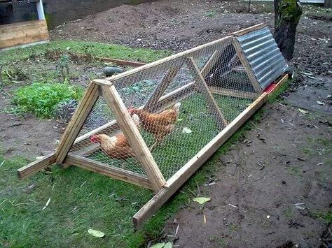 Tractor A Frame Chicken Coop, Mobile Chicken Coop, Chicken Home, Portable Chicken Coop, Backyard Chicken Coop Plans, Chicken Tractors, Chicken Tractor, Best Chicken Coop, Chicken Cages