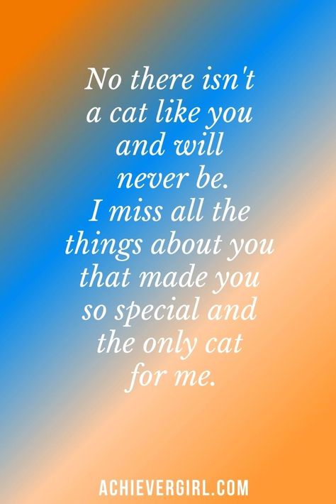 Quotes About Losing A Cat, I Miss My Cat Quotes, Dead Cat Quotes, Losing Your Cat, Losing A Cat Quote, Missing My Cat, Losing A Cat, My Cat Died, Loss Of A Cat