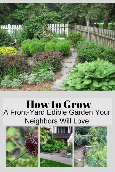 Edible Garden Ideas, Front Yard Design, Potager Garden, Organic Vegetable Garden, Edible Landscaping, Vegetable Garden Design, Front Yard Garden, Plants And Flowers, Landscaping Plants