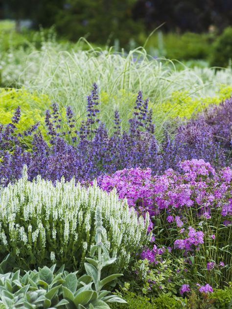 Spring Gardening 101 from HGTV >> www.hgtv.com/spring-season-gardening-ideas/package/index.html?soc=pinterest Hgtv Garden, Perennial Border, Have Inspiration, Plant Combinations, Garden Borders, Garden Bed, Perennial Garden, Gorgeous Gardens, Ornamental Grasses