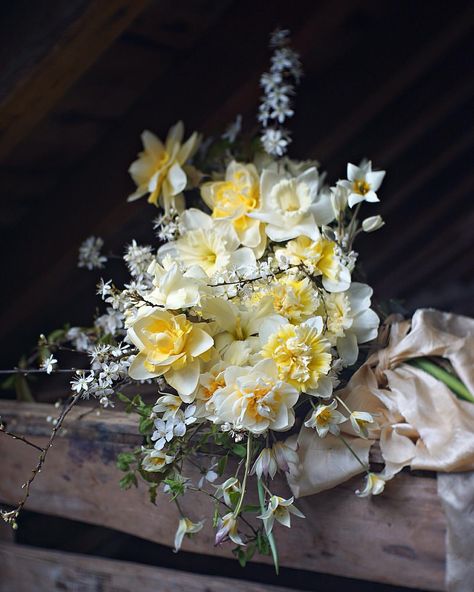 1,551 Likes, 21 Comments - Emily Avenson (@fleuropean) on Instagram: “So many beautiful, buttery varieties of daffs... next come the peaches and apricots! :D” Flower Aesthetics, Gold Winter Wedding, Early Spring Flowers, Pastel Bouquet, Yellow Bouquets, Narcissus Flower, Winter Bouquet, Bouquet Arrangements, Flower Therapy