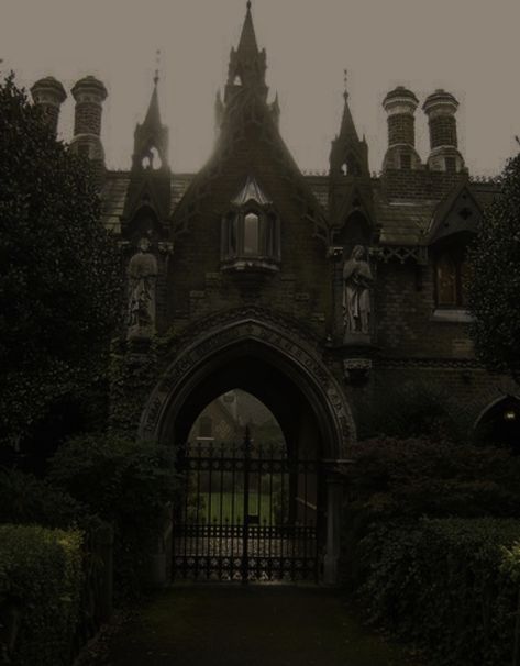 Castle Aesthetic, Dark Academy, Slytherin Aesthetic, Gothic Aesthetic, Dark Academia Aesthetic, Gothic Architecture, Boarding School, Academia Aesthetic, Dark Aesthetic