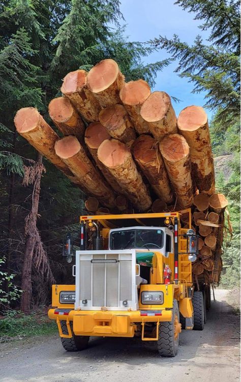 Hunting Truck, Truck Mechanic, Lumber Mill, Logging Equipment, Forestry Equipment, Train Truck, Kenworth Trucks, Old Trees, Big Rig Trucks