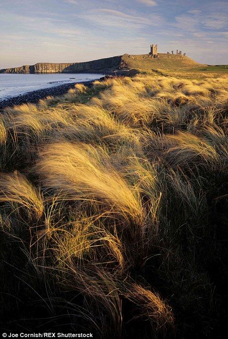 The Northumberland coast came in at number seven. A view of Dunstanburgh Castle during the walk from Craster to Low Newton is pictured Uk Walks, British Woodland, Landscape Photography Beach, Dunstanburgh Castle, Northumberland England, Sea Scapes, Northumberland Coast, Number Seven, Pembrokeshire Coast