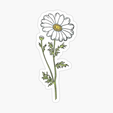 Daisy Drawing Easy, April Stickers, White Flower Sticker, Daisy Flower Sticker, April Birth Month Flower, Daisy Printable, April Birth Month, Daisy Clipart, Daisy Sticker