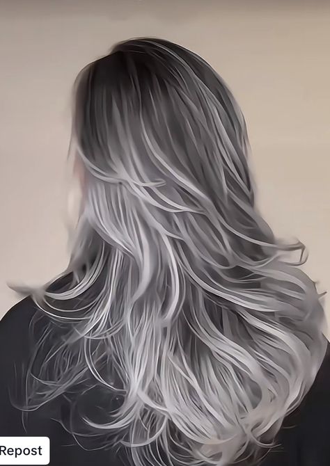 Dark And Silver Hair, Wolf Cut Grey Hair, Silver Balayage On Dark Hair, Grey Highlights In Brown Hair, Straight Grey Hair, Greyish Hair, Slytherin Hair, Silver And Black Hair, White Hair Highlights