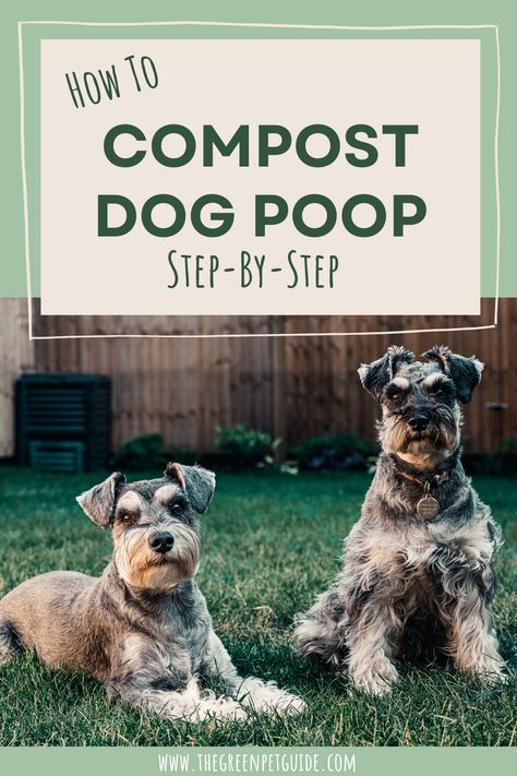 Dog Poop Disposal Backyard, Dog Waste Composter, Dog Poop Area, Dog Run Side Yard, Compost Aerator, Dog Waste Disposal, Making A Compost Bin, How To Compost, Sustainable Homestead