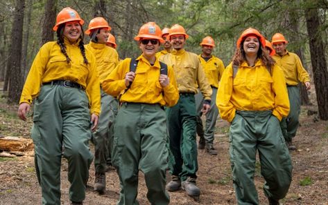 us forest service Seasonal Jobs, Us Forest Service, The Call Of The Wild, Service Jobs, Call Of The Wild, Forest Service, Plant Species, Exciting News, Job Opportunities