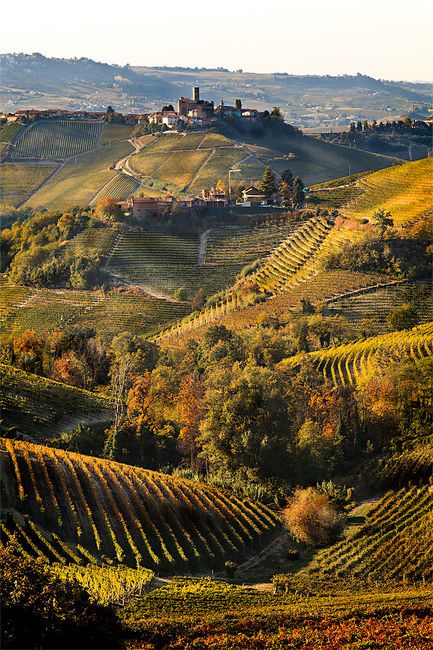 Vineyards, Tuscany, Italy; I'd like to look out my bedroom window and see this every morning. Italy Sunset, Toscana Italia, Italian Countryside, Voyage Europe, Italy Photo, Northern Italy, Tuscany Italy, Rolling Hills, Places Around The World