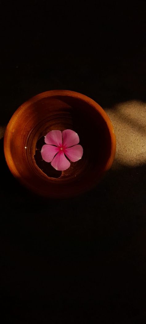 Bengali Aesthetic, Well Paper, Flowers Dp, Streets Photography, Girl Shoulder Tattoos, Bengali Art, Lotus Painting, Nature Photography Flowers, Instagram Collage