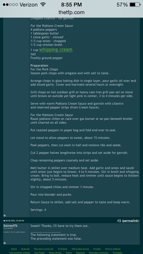 Poblano cream sauce! Love putting it into a blender! Like Carlos o kellys!!! Carlos O Kellys Recipes, Diablo Sauce, Poblano Cream Sauce, Poblano Sauce, Pork Chop Seasoning, Torta Recipe, Meat Casserole, Stuffed Poblano Peppers, Cream Sauce