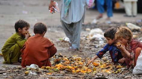 The Roots of Agent Orange | HubPages Food Insecurity, Progress Report, Poor People, Social Issues, Self Discovery, How To Raise Money, Change The World, Pakistan, How To Plan