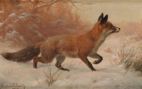 Berk Core, Helen Warlow, Fox In Snow, Hummingbirds Photography, Fox Images, Fox Painting, Wildlife Artwork, Vintage Fox, Painting Snow