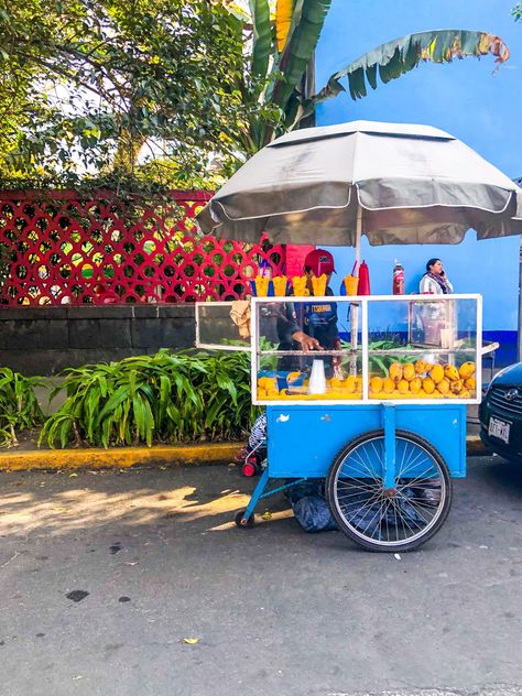 Get a taste of the best Mexican Street Snacks. Here's how to find them, what they're called, and where to get them | The Creative Adventurer Street Snacks, Food Trip, Mexican Taqueria, Street Festival, Mexican Market Aesthetic, Mexican Summer, Mexican Fruit Stand, Mexico Market Aesthetic, Mexican Grocery Store Aesthetic