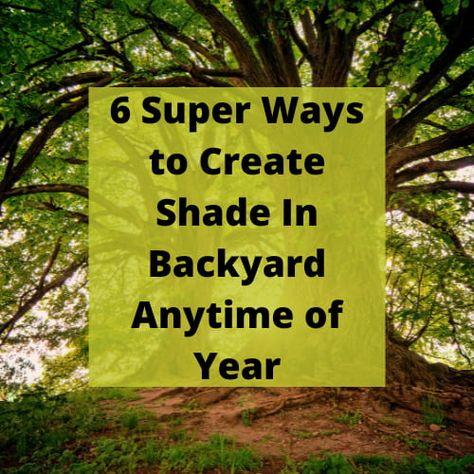 Ways To Add Shade To Backyard, How To Get Shade In Backyard, Shade Options For Backyard, No Shade Backyard Ideas, How To Create Shade On Patio, Create Shade In Garden, How To Add Shade To Your Backyard, How To Create Shade In Garden, How To Make Shade In Backyard