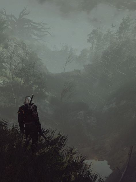 The Witcher Aesthetic, The Witcher Art, Witcher Aesthetic, Witcher Wallpaper, The Witcher Wild Hunt, The Witcher Game, The Witcher Geralt, Witcher Art, Witcher 3 Wild Hunt