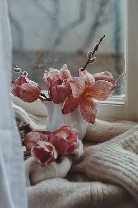 Flower in Vase on a Windowsill · Free Stock Photo Aesthetic Floral Wallpaper, Hd Aesthetic, Cosy Decor, Picture Arrangements, Protect Your Peace, Candle Picture, Tulips In Vase, Winter Plants, Healthy Boundaries