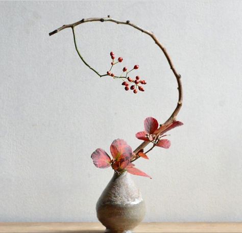 Ekibana Flowers, Ikebana Sogetsu Ideas, Ikebana Orchid, Ikebana Painting, Japanese Floral Design, Japanese Flower Arrangement, Arreglos Ikebana, Ikebana Sogetsu, Sogetsu Ikebana