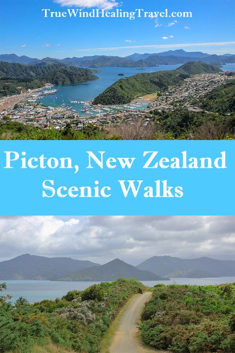 Picton New Zealand, Marlborough New Zealand, Hiking New Zealand, Nz South Island, Marlborough Sounds, New Zealand Travel Guide, New Zealand South Island, Walking Trails, New Zealand Travel