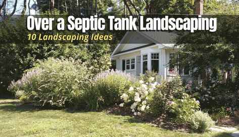 Septic Landscaping Ideas, Hiding Septic Tank Lids, Hide Septic Tank Cover Garden Ideas, Septic Mound Landscaping Ideas, Landscaping Around Septic Tank, Septic System Landscaping, Landscaping Around Septic Tank Cover, Landscaping Around Septic, Plants Around Septic Tank