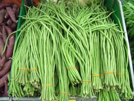 Long Beans or yard long beans, Chinese long beans or snake beans. Chinese Long Beans, Como Plantar Pitaya, Dragon Rouge, Asparagus Beans, Long Bean, Asian Vegetables, String Bean, Pole Beans, Bean Seeds