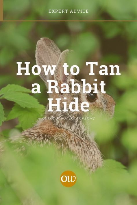 If you're curious about tanning a rabbit hide then read on! We've provided step by step instructions to help you succeed with tanning a hide! Rabbit Farming, Rabbit Hide, How To Tan, Rabbit Farm, Meat Rabbits, Gifts For My Wife, Taxidermy, Tanning, Step By Step Instructions