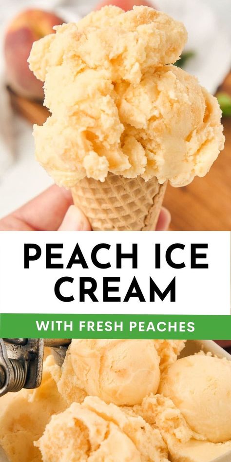 When peaches come on in the summer is the perfect time to whip up a couple of batches of this homemade fresh peach ice cream and store it in the freezer. This recipe is bursting with peach flavor in every single bite, only leaving you wanting more Homemade Peach Ice Cream Churned, Easy Peach Ice Cream, Fresh Peach Ice Cream, Homemade Ice Cream Recipes Machine, Peach Ice Cream Recipe, Homemade Peach Ice Cream, Ice Cream Recipes Machine, Ice Cream Smoothie, Custard Ice Cream