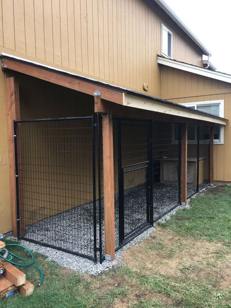 Enclosed Outdoor Pet Area, Dog Canal Ideas, Dog House With Fenced Area, Dog Enclosure Ideas Outdoor Diy, Dog Door To Fenced Area, Dog Door To Dog Run, Dog Kennel Ideas Outdoor Side Of House, Outdoor Dog Living Area, Dog Outside Area Backyard Ideas