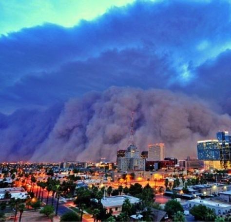 I want to witness a haboob. I've survived West Texas sandstorms, I need to see what makes a haboob so damned special! Wild Weather, Dust Storm, Downtown Phoenix, Powerful Images, Natural Phenomena, Sky And Clouds, Phoenix Arizona, Extreme Weather, Science And Nature