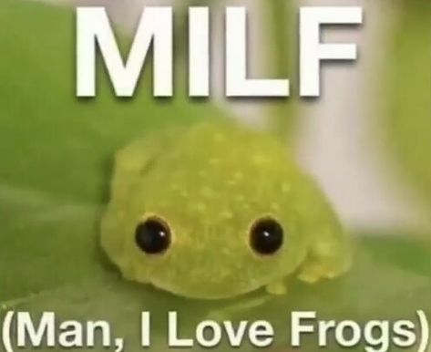 Man I Love Frogs, Karl Jacobs, Green Frog, Frogs, I Love, Yellow, Green