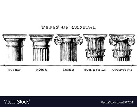 Architectural Orders, Greek Columns, Istoria Artei, Roman Columns, Ancient Greek Architecture, Architecture Sketchbook, Architecture Design Drawing, Architecture History, Geometric Drawing