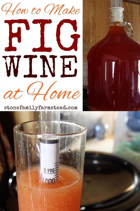 How to Make Fig Wine at Home {Step-by-Step Instructions} - Stone Family Farmstead Fig Wine, Wine Making Recipes, Homemade Wine Recipes, Wine At Home, Homemade Alcohol, Drink Poster, Wine Magazine, Fig Recipes, Homemade Wine