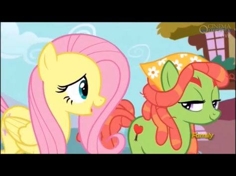 Having new friends Fluttershy Brother, Fluttershy And Discord, Tree Hugger And Fluttershy, Mlp Fluttershy X Discord Comic, Flutter Shy And Discord, Tree Hugger, Fluttershy, Equestria Girls, New Friends