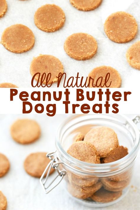 Natural Dog Treats Recipes, Dog Cookie Recipes, Dog Treats Homemade, Homemade Dog Cookies, Dog Treats Homemade Easy, Easy Dog Treat Recipes, Dog Biscuit Recipes, Easy Dog Treats, Healthy Dog Treats Homemade