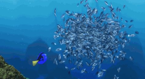 Nemo Movie, Finding Nemo Movie, Finding Nemo 2003, School Tips, Finding Nemo, Disney Pixar, Pixar, Walt Disney, Banners