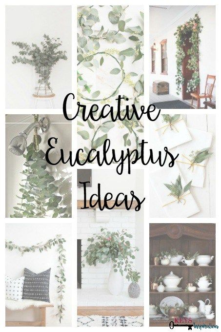 So many creative ideas for using Eucalyptus - my favorite green! Farmgirl Flowers, Fresh Eucalyptus, Dried Eucalyptus, Pampas Grass Decor, Eucalyptus Garland, Eucalyptus Wreath, 60 Degrees, Creative Home Decor, Crafting Ideas